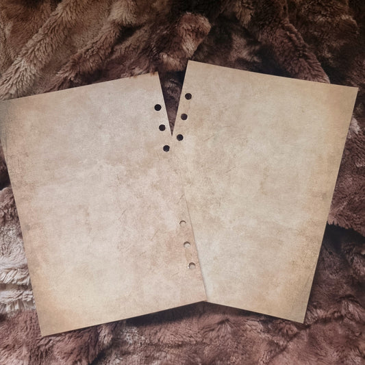 Recharge Feuilles A5 notes pour carnets Parchemins vieillis