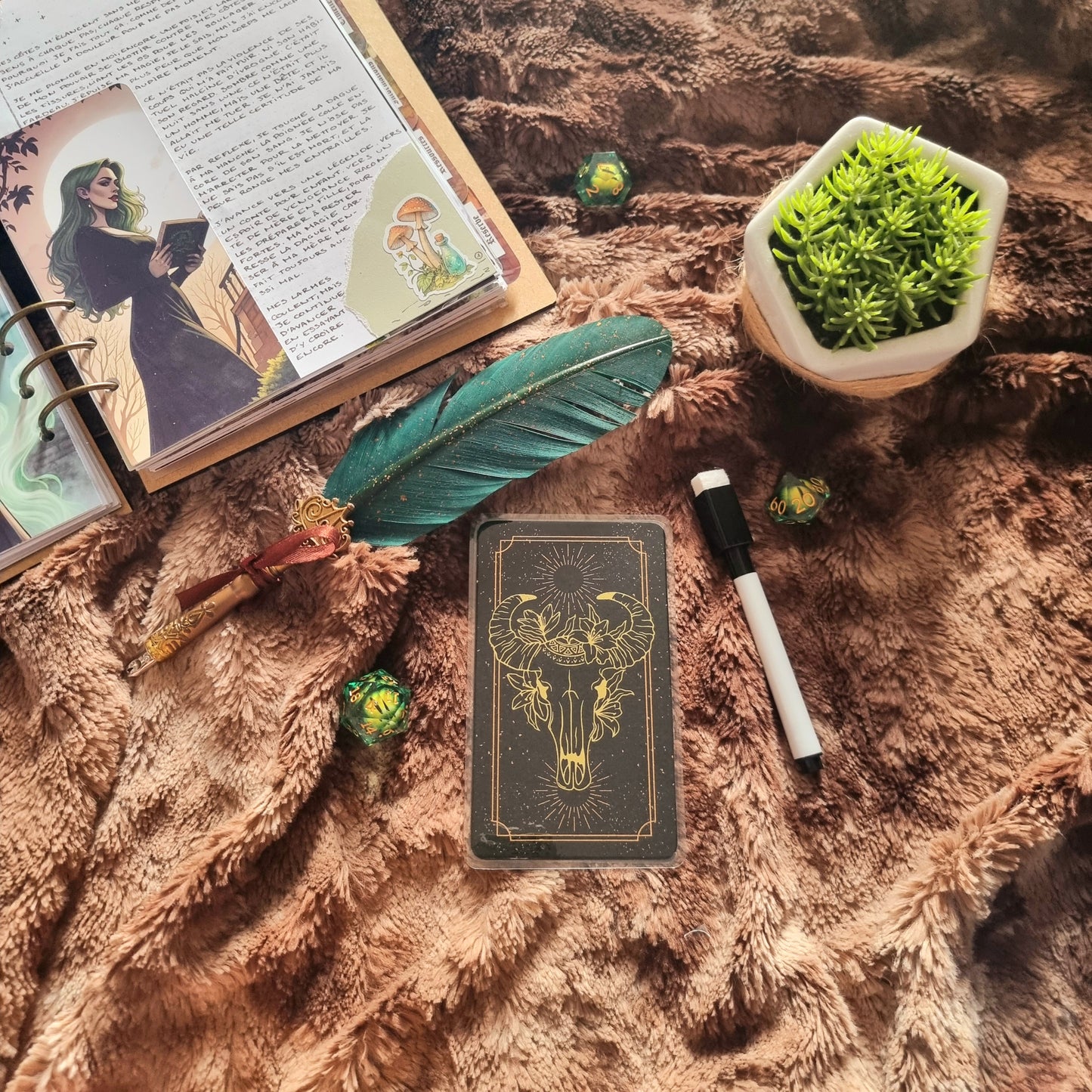 Oracle et tourments format tarot Crâne
