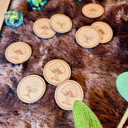 Pack tout en un pour débuter -  Saga - Au seuil de l'aventure, Solotaisie et accessoires