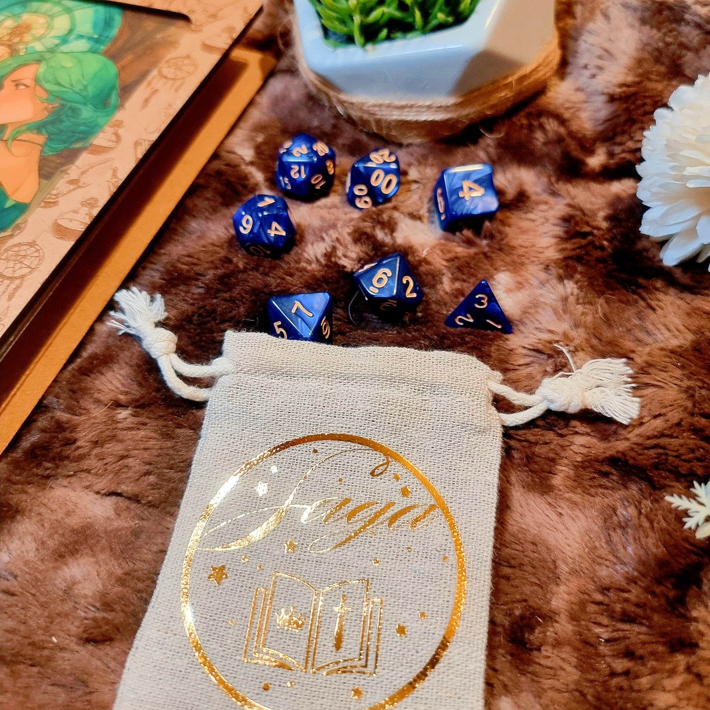 Pack tout en un pour débuter -  Saga - Au seuil de l'aventure, Solotaisie et accessoires